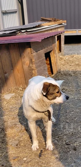 ���� ���� ��� ����