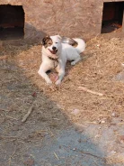 ���� ���� ��� ����