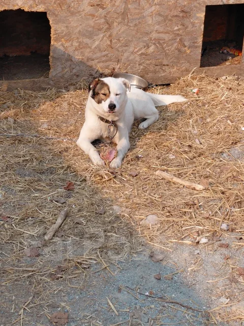 ���� ���� ��� ����