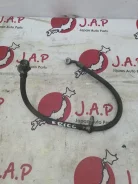 ����� ��������� Honda Civic 2006 01464SNAA01 FD1 R18A, �������� ������ 01464SNAA01 ����