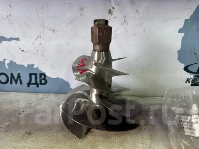 �������� ����
