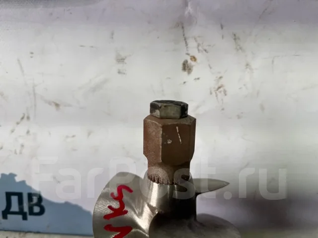�������� ����