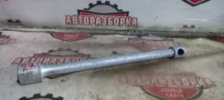 ���� �������� ����