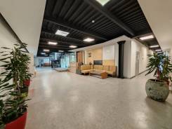 ��������-������. ��� ������������. �������� �������� ������� 82� ����