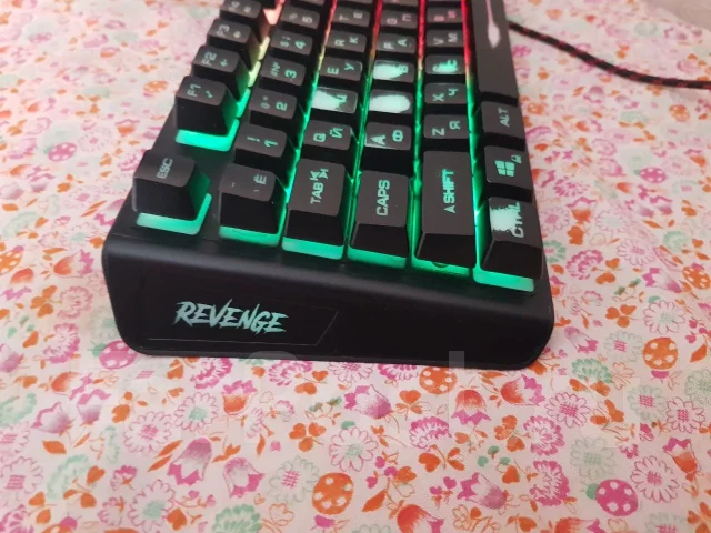 ����������. ����