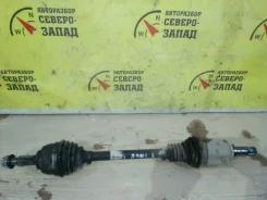 ������ Lada Xray 8450020058 ���-21129, �������� ����� 8450020058 ����