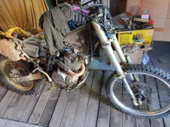 Suzuki DR 250 ����