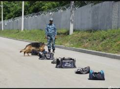 �������. �������������� ������� 11. ����� �������� 42/4 ����