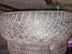 Continental AllSeasonContact. ������, ����������, 2019 ���, �/�, ����� 30 % ����