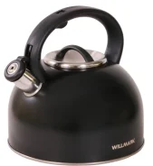 ������ Willmark WTK-4810SS, ������ ����