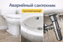 ��������� ��������, ���������, ����. ����