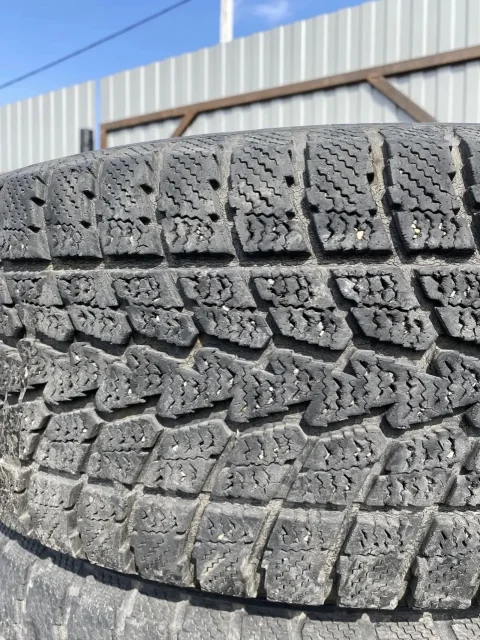 Toyo Winter Tranpath S1. ������, ��� �����, �/�, ����� 40 % ����