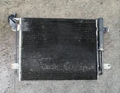 �������� ������������ Volkswagen Tiguan 1 2009 5N0820411C,5N0820411E 5N0820411C ����