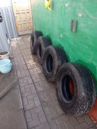 Toryo. ����� at, 2019 ���, �/�, ����� 30 % ����