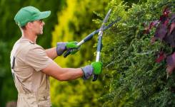 ��������. �� �������� �.�. ����� 38-�� ����� ����