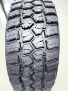 Dovroad Wild Spectra MT. ������, 2026 ���, ����� ����