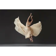 ������� �������������� Godox Witstro AD600Pro II � ���������� TTL ����
