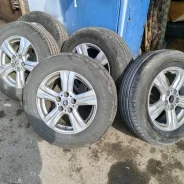 Viatti Bosco H/T. ������, 2024 ���, ����� ����