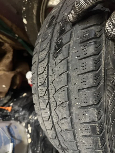 Farroad FRD79. ������, ��� �����, 2021 ���, �/�, ����� 60 % ����