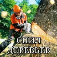 ���� �������� � �����, ������� ������������� ����������, ����������� ����