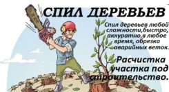 ������� ������. ������������. ��������. �����������. ���������� ����� ����
