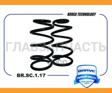 ������� �������� �������� [BRSC117] BRSC117 ����