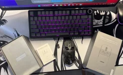 ���� ������� ������������. ����