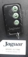 Jaguar. ����