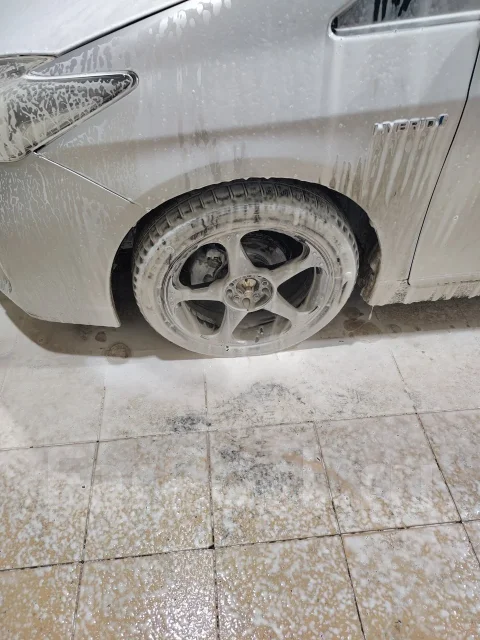 Anchi. x17" ����