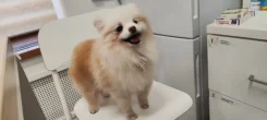 ����. ����