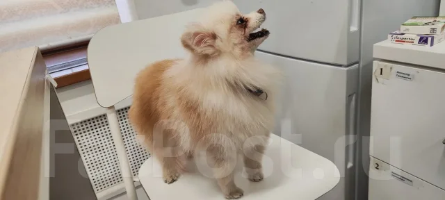 ����. ����