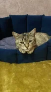 �����. ����
