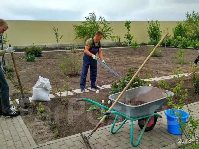 ������������, �������-����������. ����