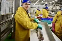 ��������������. ��� �������� ����. ���������� ���� �. ����������� ����