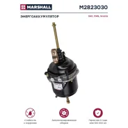 �����������������! � ������, �30/30, ������� ���� Ikarus Marshall M2823030 M2823030 ����