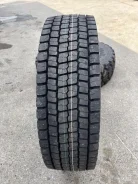 Apollo Endurace RD. �����������, 2025 ���, ����� ����