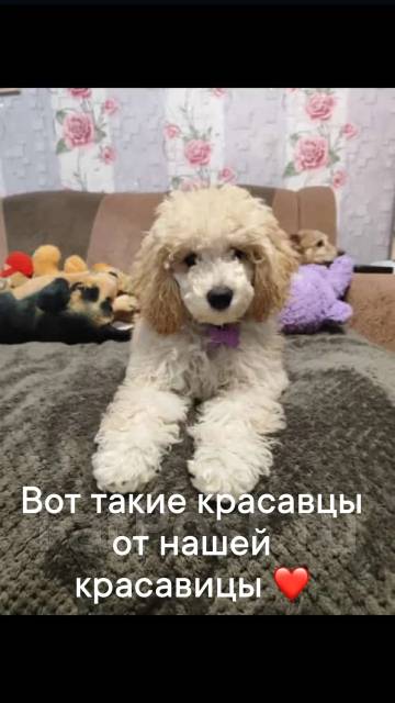 ���������� ������. ����