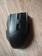 ���� �������. ����