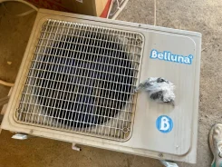 Belluna. 22��&sup2; ����