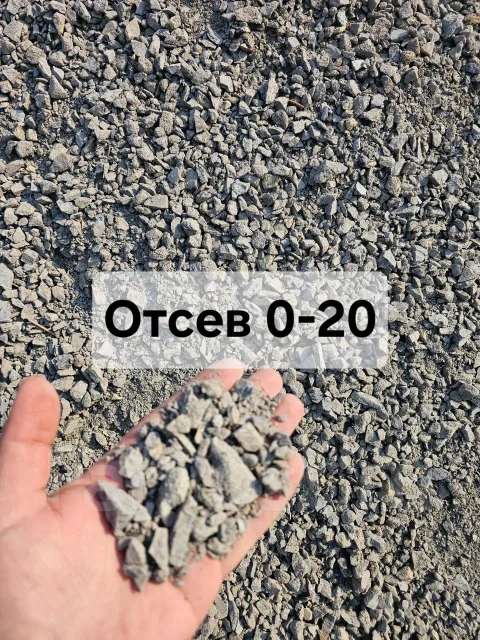 �����. ����