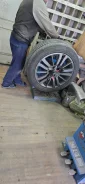 ZMax Zealion. ������, 2023 ���, �/�, ����� 15 % ����