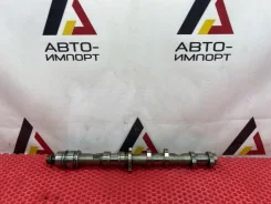 ���������� Audi A6 2012 06E109102BK C7 CHVA, ������ 06E109102BK ����
