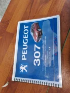 ����������� �� ������������ Peugeot 307 ������ ����