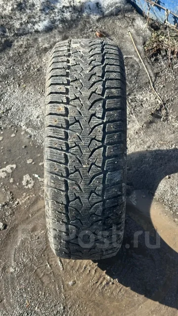 Compasal Winter Stud. ������, ����������, 2024 ���, �/�, ����� 10 % ����