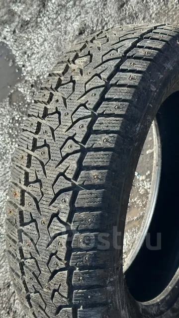 Compasal Winter Stud. ������, ����������, 2024 ���, �/�, ����� 10 % ����