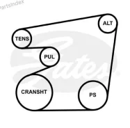 ������ ������������ Gates 6PK1693 ����