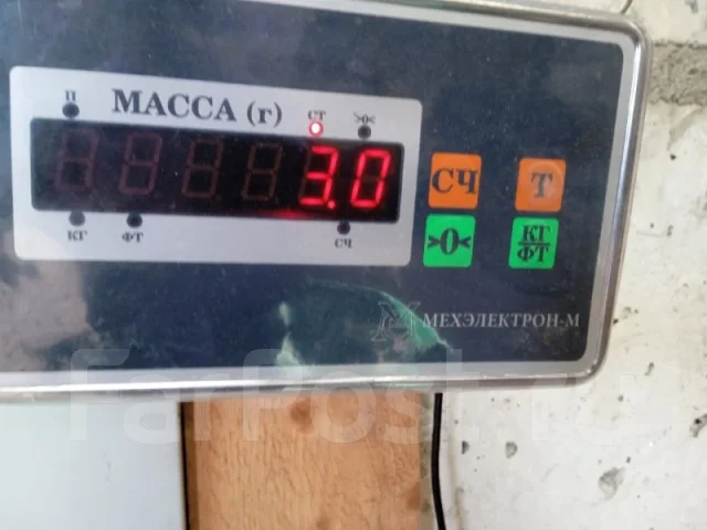 ������� Mazda 626 2002 BPD418400A GF 2.0 BPD418400A ����
