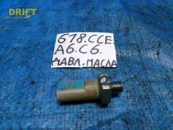 ������ �������� ����� AUDI A6 C6 06E919081C ����