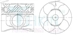 ������� ��������� Teikin 43300AG STD (4��/����) 43300AGSTD ����