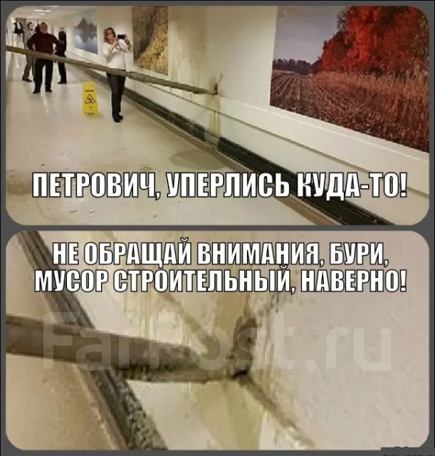 ��� ����